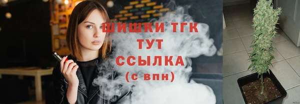 ГАЛЛЮЦИНОГЕННЫЕ ГРИБЫ Абаза
