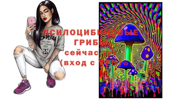 крисы Заводоуковск