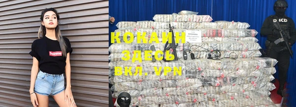ГАЛЛЮЦИНОГЕННЫЕ ГРИБЫ Абаза