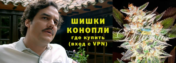 ГАЛЛЮЦИНОГЕННЫЕ ГРИБЫ Абаза