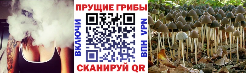 Галлюциногенные грибы прущие грибы  KRAKEN вход  Анадырь 