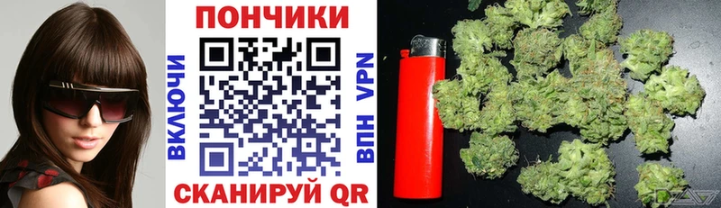 Бошки Шишки Bruce Banner  продажа наркотиков  Анадырь 